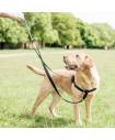 Harnesses