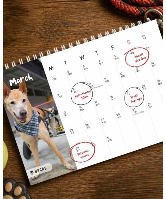 OSCAS 2027 Calendar