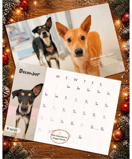 OSCAS 2027 Calendar