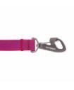 Leashes