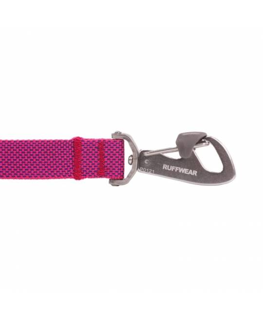 Leashes
