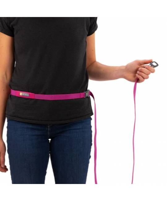 Leashes