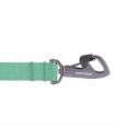 Leashes
