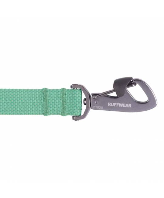 Leashes