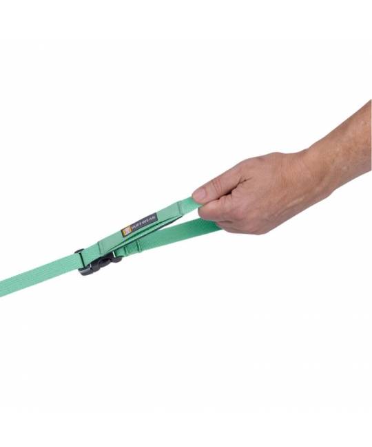 Leashes