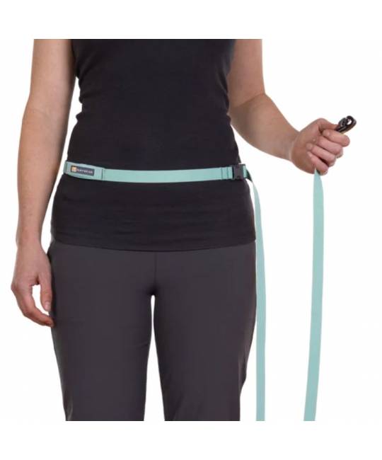 Leashes