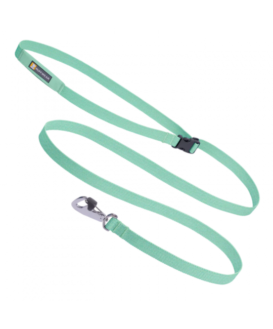 Leashes