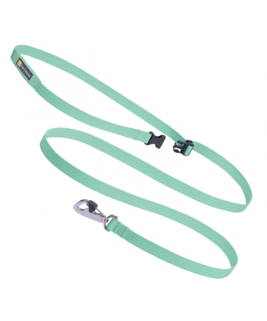 Leashes