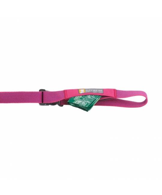 Leashes