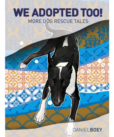 We Adopted Too! Book by Daniel Boey