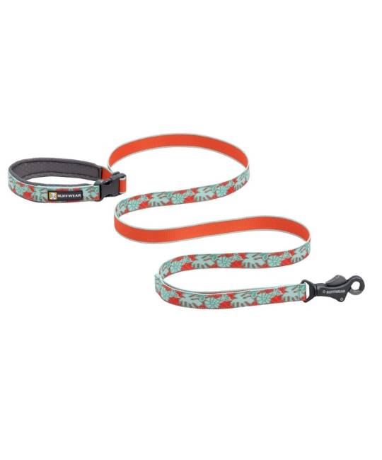 Leashes