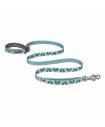 Leashes