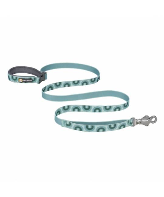 Leashes