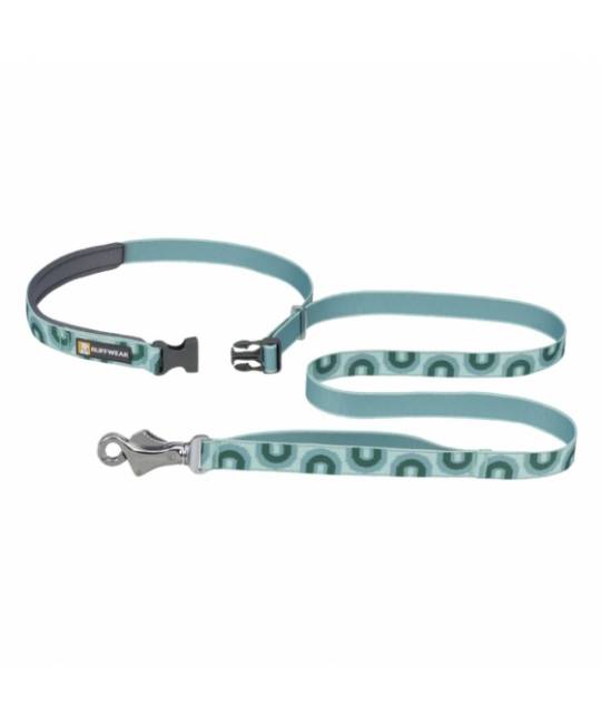 Leashes