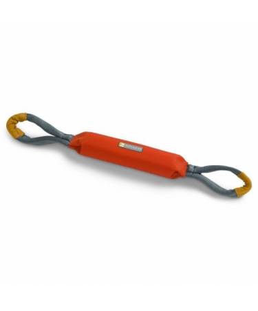 Pacific Loop Toy