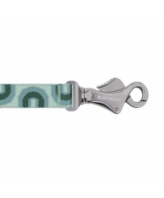 Leashes