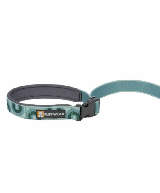 Leashes