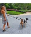 Leashes