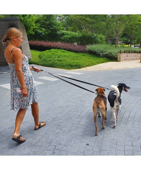 Leashes