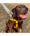 Harnesses