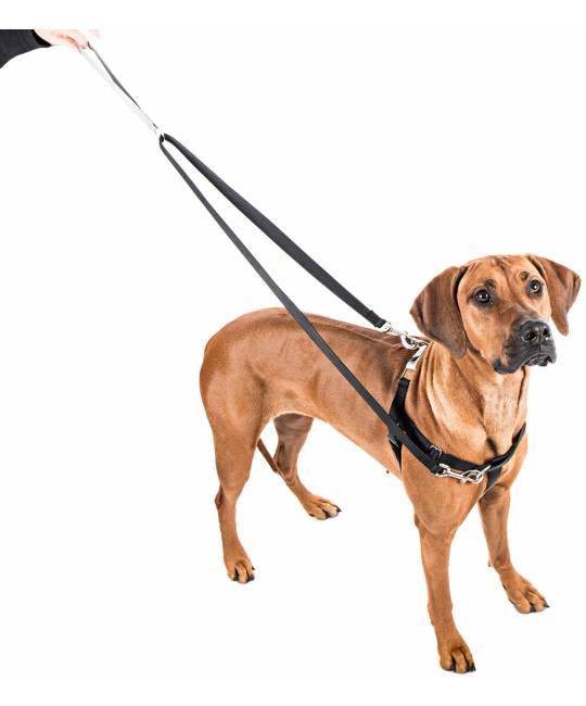 Harnesses