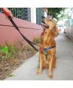 Harnesses