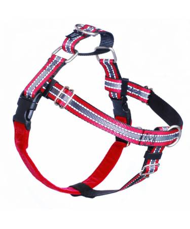 FREEDOM Harness & Leash set - REFLECTIVE Red