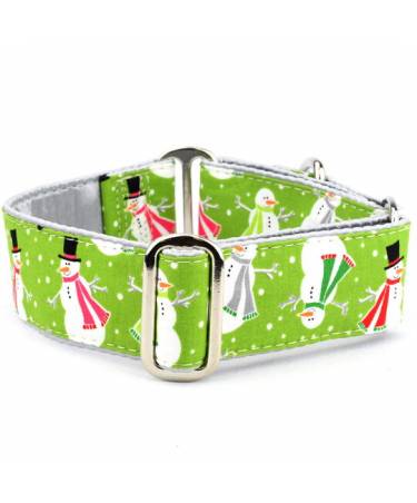 Snowy Day Green (Buckle Martingale Collar)