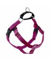 Harnesses