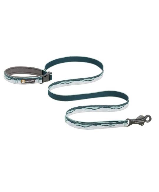 Leashes