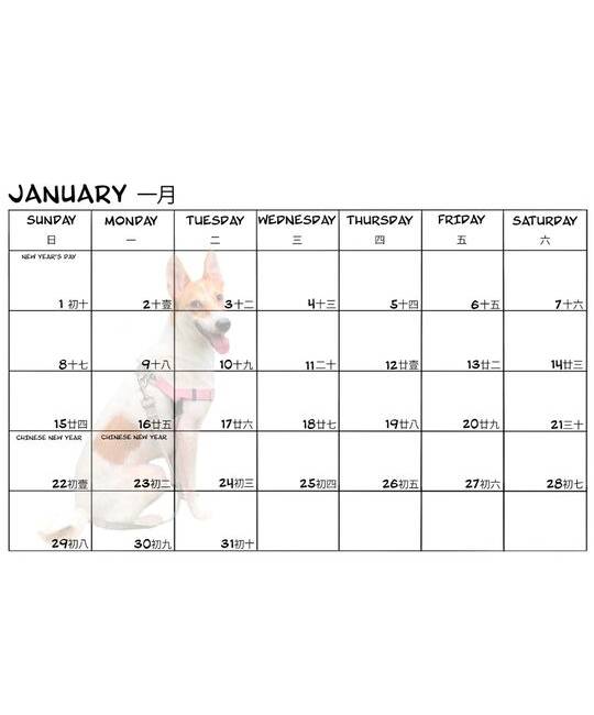 OSCAS 2023 Calendar - Ways to a Dog's Heart - Makan!