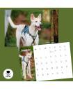 OSCAS 2026 Calendar