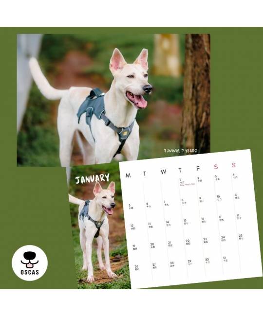 OSCAS 2026 Calendar