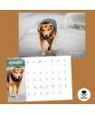 OSCAS 2026 Calendar