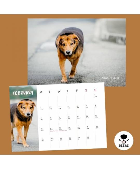 OSCAS 2026 Calendar