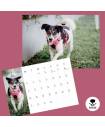 OSCAS 2026 Calendar