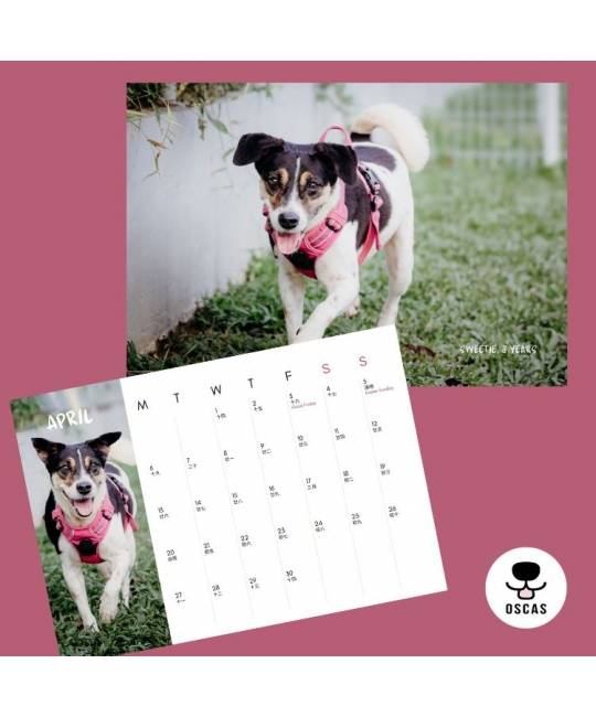 OSCAS 2026 Calendar