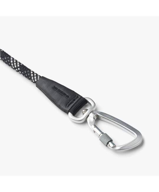 Leashes