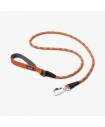 Leashes