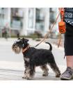Leashes