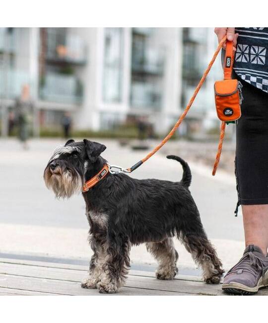 Leashes