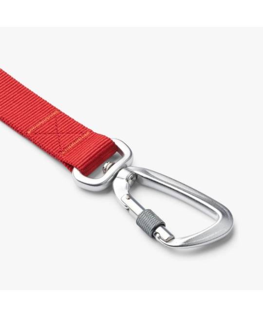 Leashes