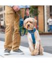 Leashes