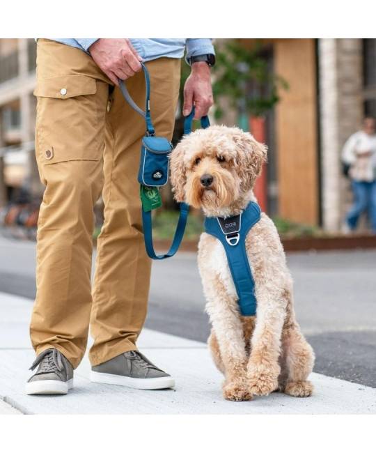 Leashes