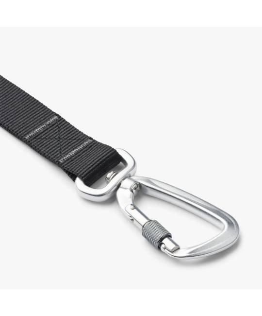 Leashes