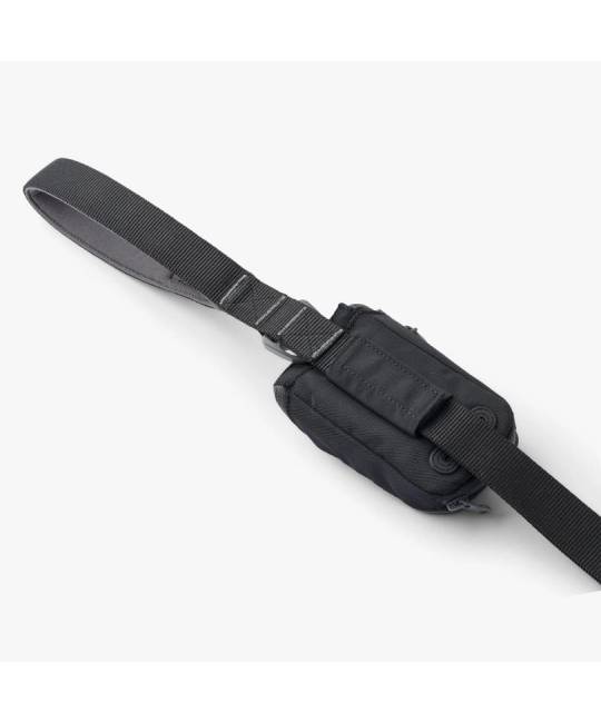 Leashes