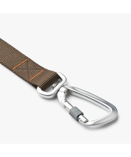 Leashes