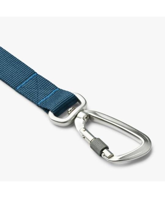 Leashes