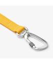 Leashes