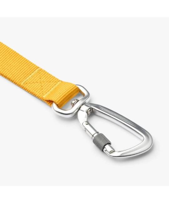 Leashes